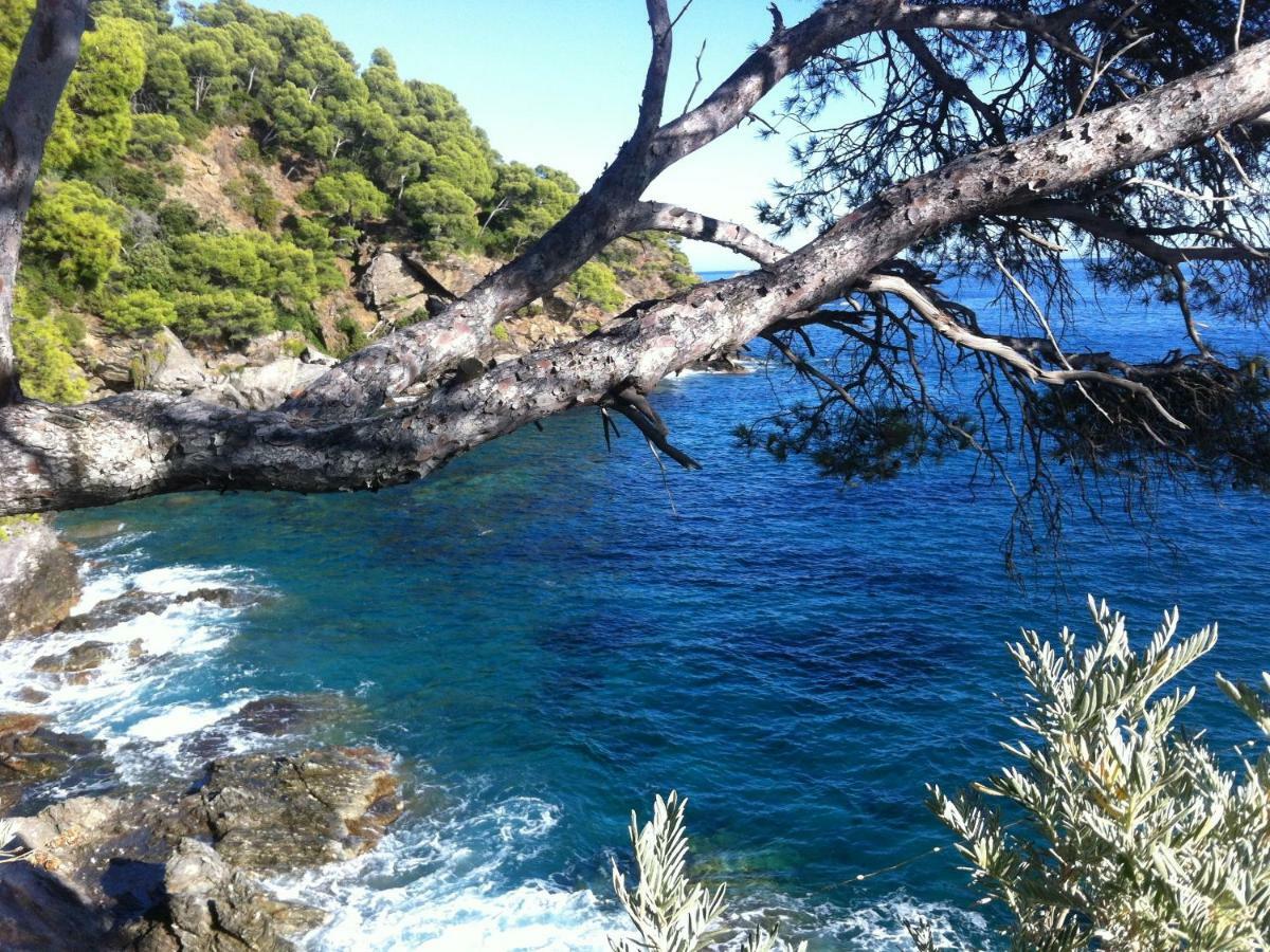 לה-לונד-לה-מורה Villa De Vacances Au Calme Proche De La Mer מראה חיצוני תמונה
